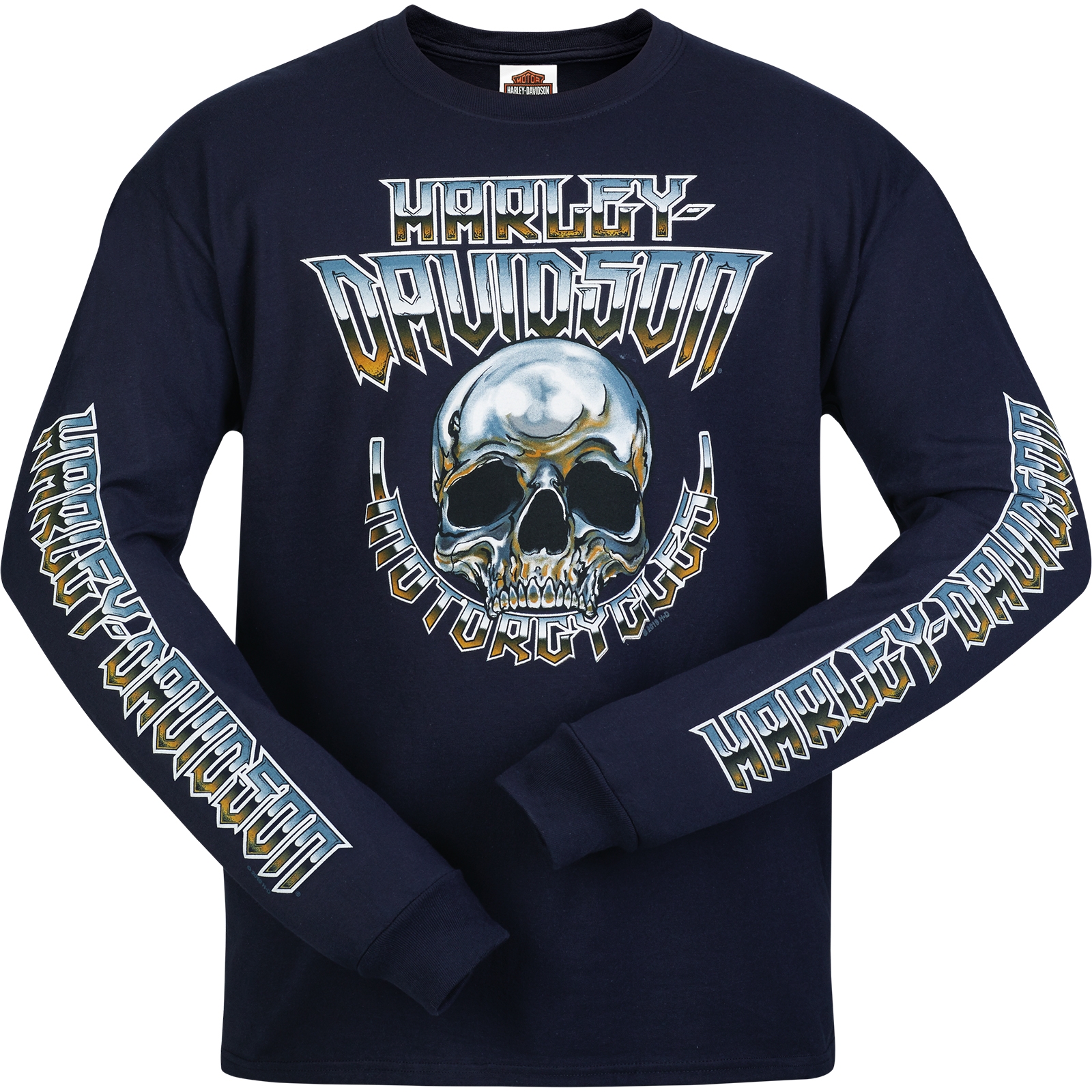 Harley-Davidson Men's Long Sleeve Skull Graphic T-Shirt - Camp Leatherneck | Chrome Dome 2X